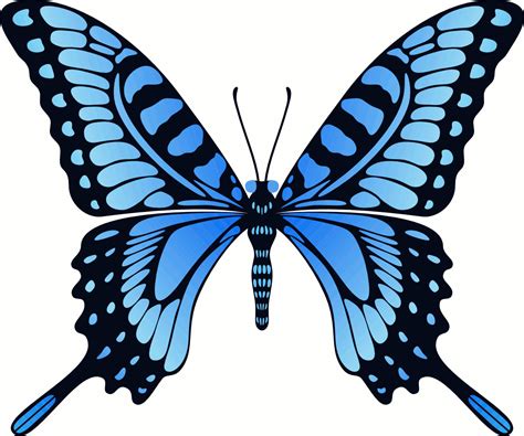 butterfly insect wings. . Butterflies gifs